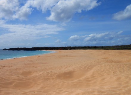 The beaches with all the turtle nests.