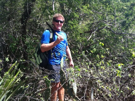 Declaring war on the prickles