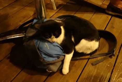 ???????????????????????????????