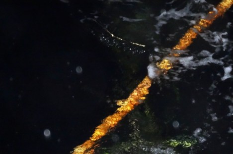 ???????????????????????????????